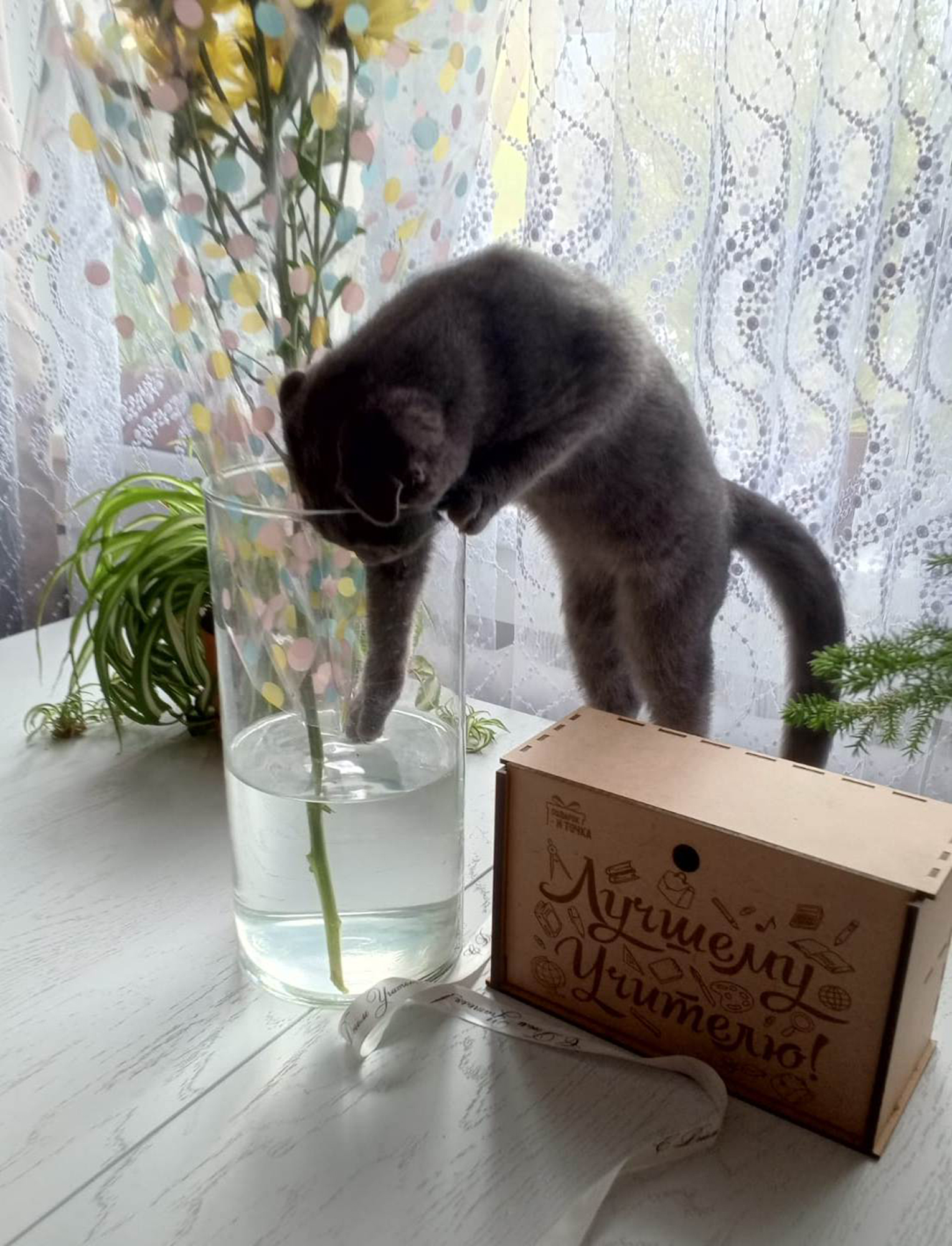 E_Karpova_5